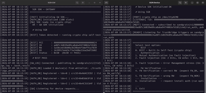 Terminal requesting sudo for the device and gateway.